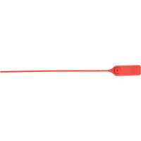 Scell&eacute; de s&eacute;curit&eacute; robuste, 13", Plastique, Scell&eacute; &agrave; tirer Trail Hammer and Bolt