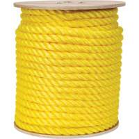 Corde jaune tress&eacute;e, Polypropyl&egrave;ne, 300' Trail Hammer and Bolt