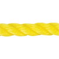 Corde jaune tress&eacute;e, Polypropyl&egrave;ne, 144' Trail Hammer and Bolt