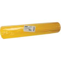 Sacs &agrave; d&eacute;chets, Biorisque, 60" lo x 36" la, 6 mils Trail Hammer and Bolt