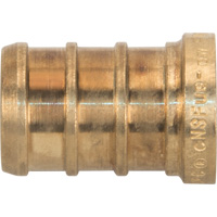 Capuchon de tuyau sans plomb, Tuyau, 1/2" dia., Laiton Trail Hammer and Bolt
