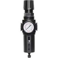 Manual Drain Filter/Regulator with Standard Bowl Modulair 300, 1/4" NPT, 150 PSI, 5.1 fl. oz. Capacity Trail Hammer and Bolt