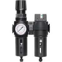 Manual Drain Filter, Regulator & Coalescing Filter with Standard Bowl Modulair 300, 1/4" NPT, 150 PSI, 5.1 fl. oz. Capacity Trail Hammer and Bolt