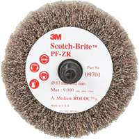 Brosse &agrave; lamelles pour labrasion et le polissage PF-ZR Roloc Scotch-Brite, Oxyde d'aluminium, Grain Moyen, 2-1/2" x 1-1/4" Trail Hammer and Bolt