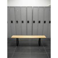 Locker Room Bench, Wood, 48" L x 9-1/2" W x 16-1/2" H Trail Hammer and Bolt