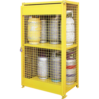Gas Cylinder Cabinets, 12 Cylinder Capacity, 44" W x 30" D x 74" H, Yellow Trail Hammer and Bolt