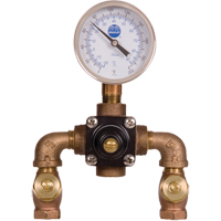 Vannes de m&eacute;lange thermostatiques, 7 gal./min Trail Hammer and Bolt