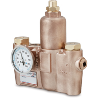 Vannes de m&eacute;lange thermostatiques, 19,5 gal./min Trail Hammer and Bolt