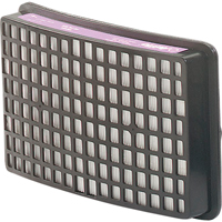 Protection respiratoire Speedglas - Filtres et cartouches de recharge, Filtre P100, Paquet de 2 Trail Hammer and Bolt