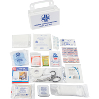 Trousse de premiers soins, Dispositif m&eacute;dical Classe 1, Boîte en plastique Trail Hammer and Bolt
