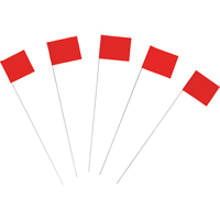 Marking Flags Trail Hammer and Bolt