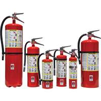 Extincteur d'incendie, ABC, Capacit&eacute; 10 lb Trail Hammer and Bolt