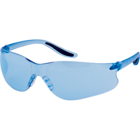 Lunettes de s&eacute;curit&eacute; s&eacute;rie Z500, Lentille Bleu, Anti-&eacute;gratignures, ANSI Z87+/R&eacute;pond ou surpasse la norme CSA Z94.3 Trail Hammer and Bolt
