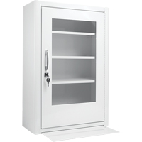 Medicine-Style Cabinets Trail Hammer and Bolt