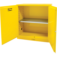 Armoire pour produits inflammables, 30 gal., 2 Porte(s), 43" La x 44" h x 18" p Trail Hammer and Bolt