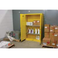 Armoire pour produits inflammables, 45 gal., 2 Porte(s), 43" La x 65" h x 18" p Trail Hammer and Bolt