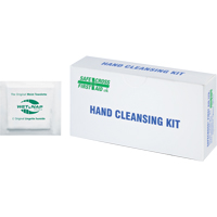 Hand Cleansing Moist Wipes, Towelette Trail Hammer and Bolt