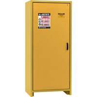 30-Minute EN Safety Storage Cabinet, 30 gal., 1 Door, 34.02" W x 76.65" H x 24.21" D Trail Hammer and Bolt