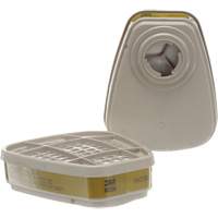 Cartouches pour respirateur s&eacute;rie 6000, Cartouche gaz/vapeur, Gaz multiples/Vapeurs Trail Hammer and Bolt