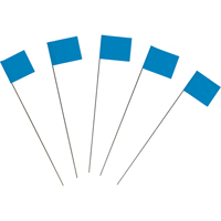 Safety Traffic Flags