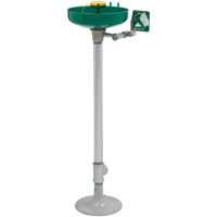 Axion&reg; Eye/Face Wash Station, Pedestal Installation, Plastic Bowl Trail Hammer and Bolt