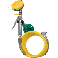 Axion&reg; Eye/Face Wash Station, Wall-Mount Installation, Plastic Bowl Trail Hammer and Bolt