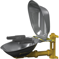 Halo Face/Eyewash Stations, Wall-Mount Installation, Stainless Steel Bowl Trail Hammer and Bolt