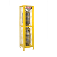 Gas Cylinder Cabinets, 2 Cylinder Capacity, 17" W x 17" D x 69" H, Yellow Trail Hammer and Bolt