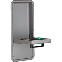 Eye/Face Wash Station, Wall-Mount Installation, Stainless Steel Bowl Trail Hammer and Bolt