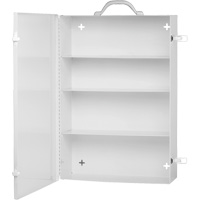 Medicine-Style Cabinets Trail Hammer and Bolt