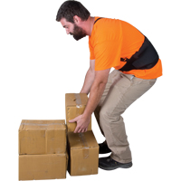Back Support, Elastic, Small Trail Hammer and Bolt