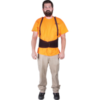 Back Support, Elastic, Small Trail Hammer and Bolt