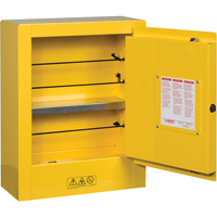 Sure-Grip&reg; EX Mini Flammable Safety Cabinet, 2 Gal., 1 Door, 17" W x 22" H x 8" D Trail Hammer and Bolt