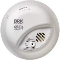 Carbon Monoxide Alarm Trail Hammer and Bolt