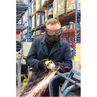 Z2300 Series Safety Shield Goggles, Clear Lens, Anti-Fog, Indirect Vent Trail Hammer and Bolt