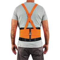 ProFlex 100HV Economy Spandex Hi-Vis Back Support Brace, Elastic, X-Small Trail Hammer and Bolt