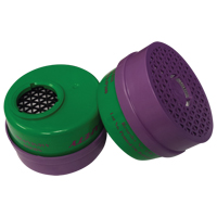 Cartouche pour respirateur, Combinaison cartouche et filtre contre les particules pour gaz/vapeurs, Ammoniac/M&eacute;thylamine/Filtre P100 Trail Hammer and Bolt