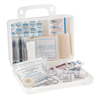 Dynamic Truck First Aid Kit, Class 1 Medical Device, Plastic B Trail Hammer and Bolt