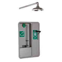 ADA Eye/Face Wash and Shower, Ceiling-Mount Trail Hammer and Bolt