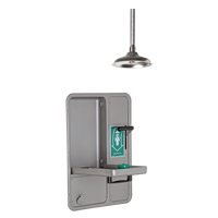 Eye/Face Wash and Shower, Ceiling-Mount Trail Hammer and Bolt