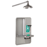 Eye/Face Wash and Shower, Ceiling-Mount Trail Hammer and Bolt