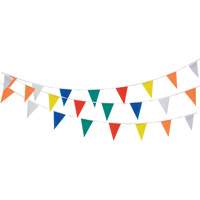 Pennant String, 60' L, Multicolour Trail Hammer and Bolt