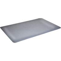 Tapis antimicrobiens WD Foodmaster, Lisse, 3' x 4' x 9/16", Gris, Nitrile/Caoutchouc Trail Hammer and Bolt