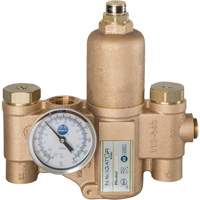 Robinet mitigeur thermostatique pour luminaires durgence Navigator EFX20, 30 gal./min Trail Hammer and Bolt