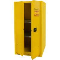 Armoire pour produits inflammables, 60 gal., 2 Porte(s), 34" La x 65" h x 34" p Trail Hammer and Bolt