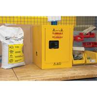 Flammable Storage Cabinet, 4 gal., 1 Door, 17" W x 22" H x 18" D Trail Hammer and Bolt