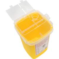 Sharps Container, 1 L Capacity Trail Hammer and Bolt