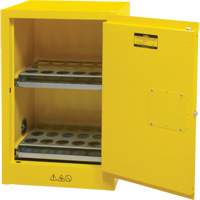 Flammable Aerosol Storage Cabinet, 12 gal., 1 Door, 23" W x 35" H x 18" D Trail Hammer and Bolt