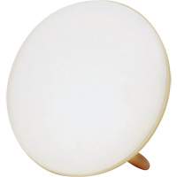 Jumbo Therapy Light for Seasonal Affective Disorder Trail Hammer and Bolt