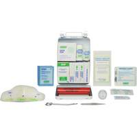 Basic 16 Unit First Aid Kit, Meets CSA Z1220-17 Type 2 Low-Risk Environment, Small (2-25 Workers) Trail Hammer and Bolt